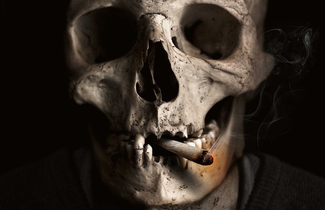 Lebka so zapálenou cigaretou v ústach.jpg